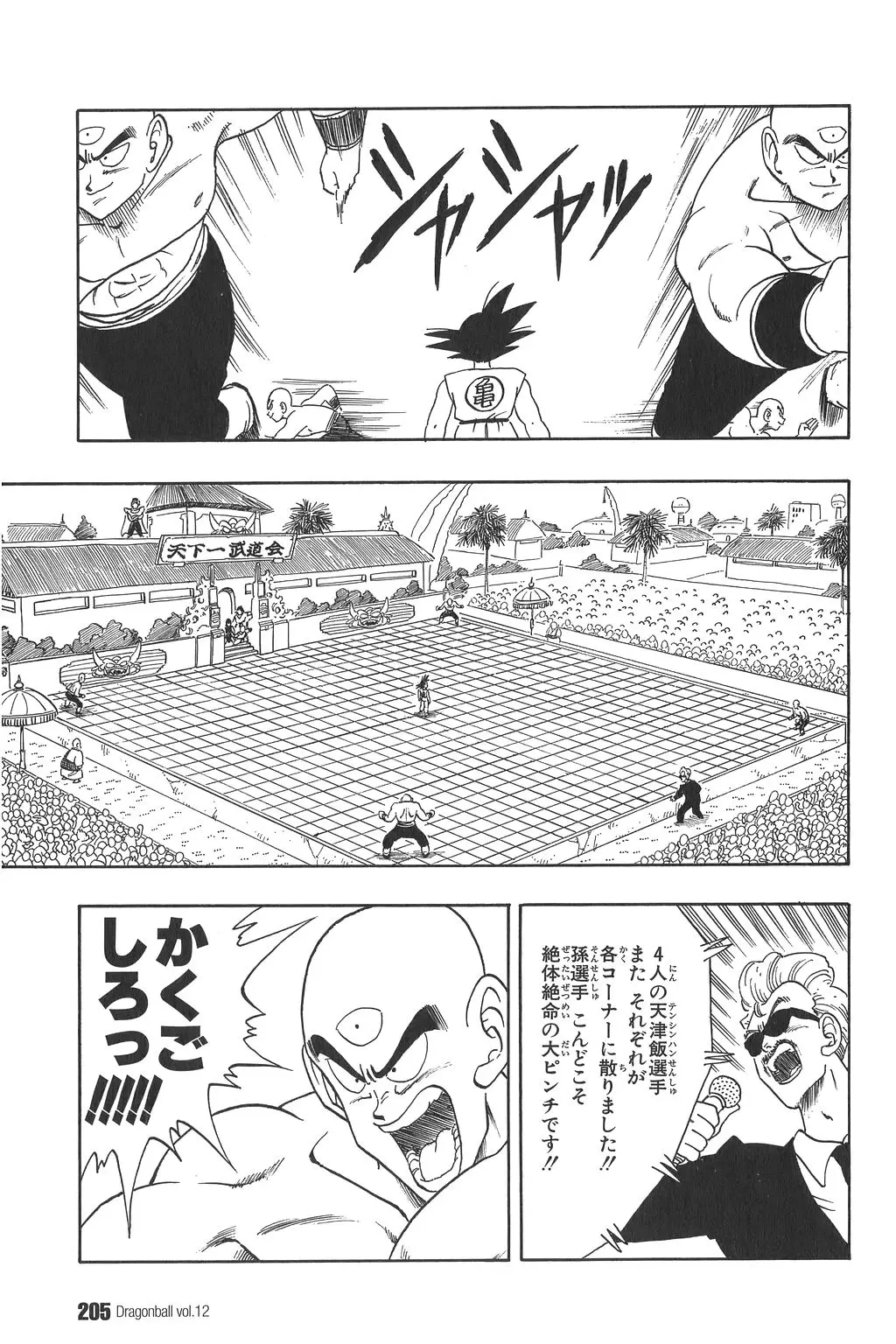 Chapitre 12 — Dragon Ball Kanzenban Vol. 12 — page 210