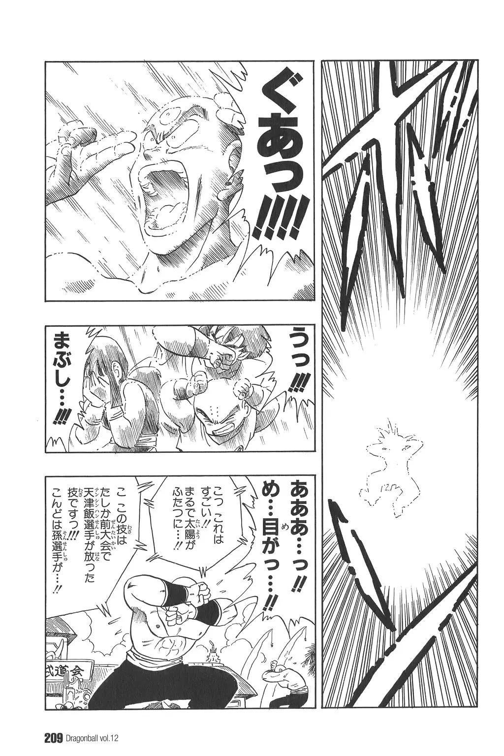 Chapitre 12 — Dragon Ball Kanzenban Vol. 12 — page 214