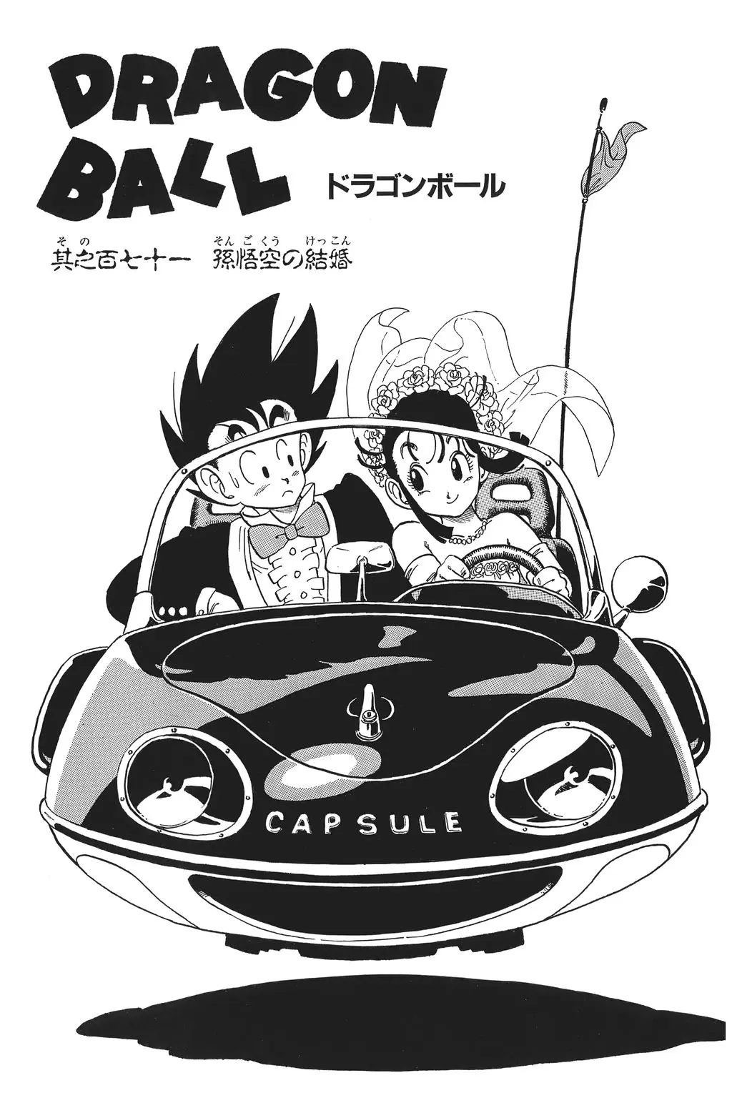Chapitre 12 — Dragon Ball Kanzenban Vol. 12 — page 230