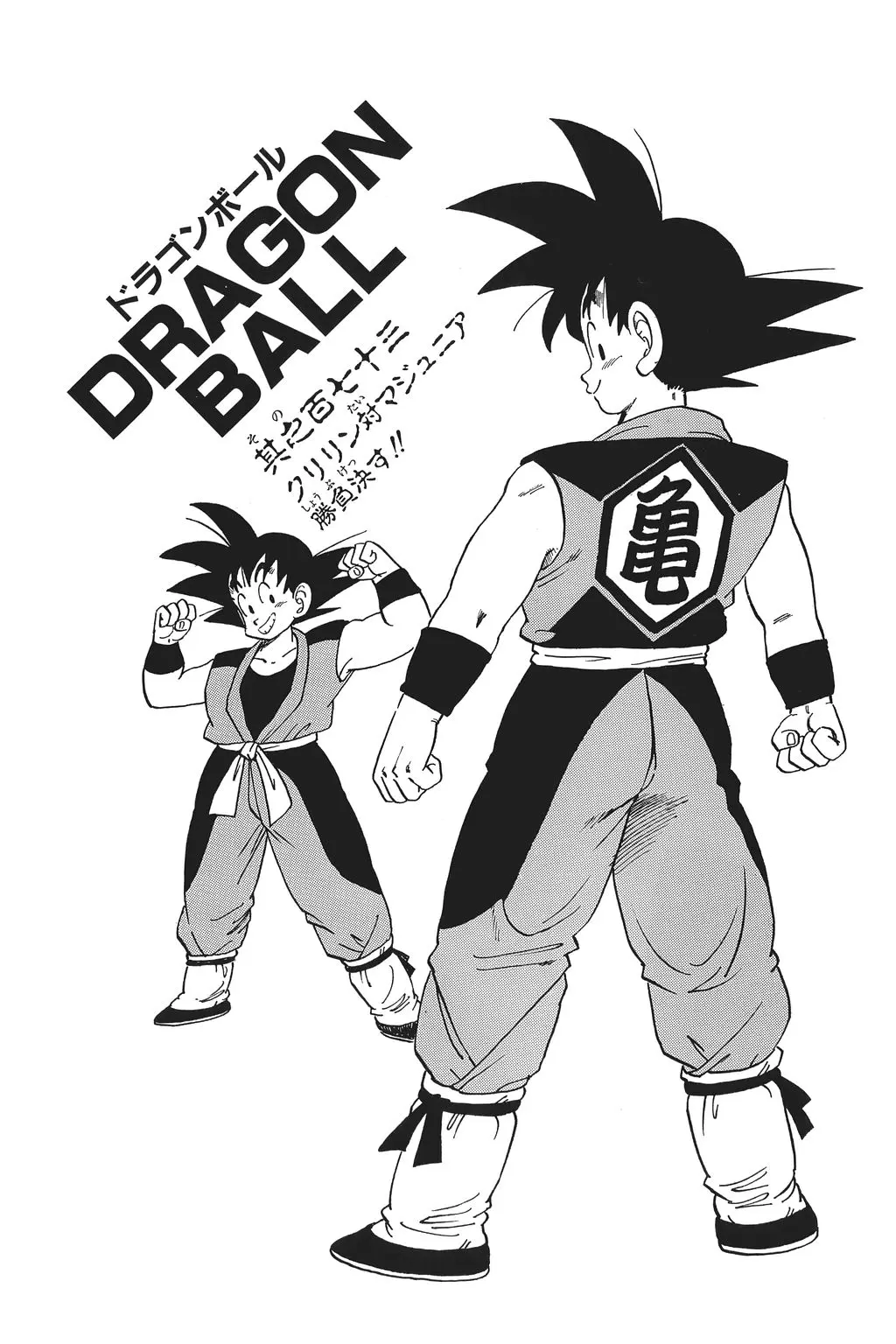 Chapitre 12 — Dragon Ball Kanzenban Vol. 12 — page 232