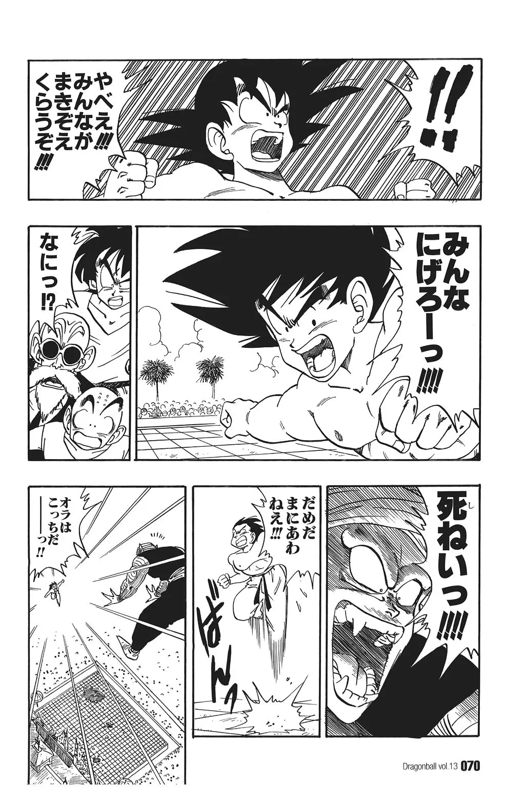 Chapitre 13 — Dragon Ball Kanzenban Vol. 13 — page 75