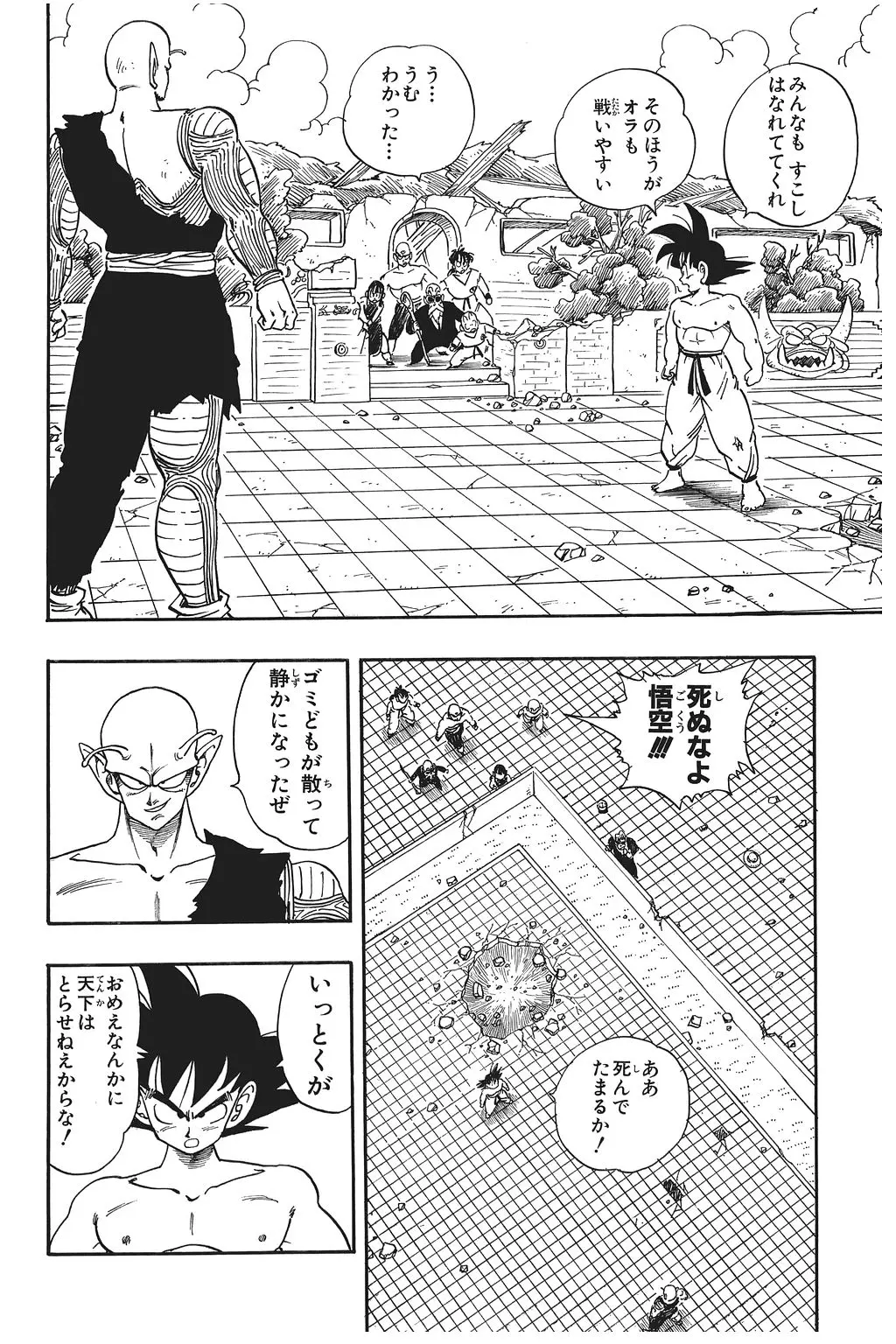 Chapitre 13 — Dragon Ball Kanzenban Vol. 13 — page 101