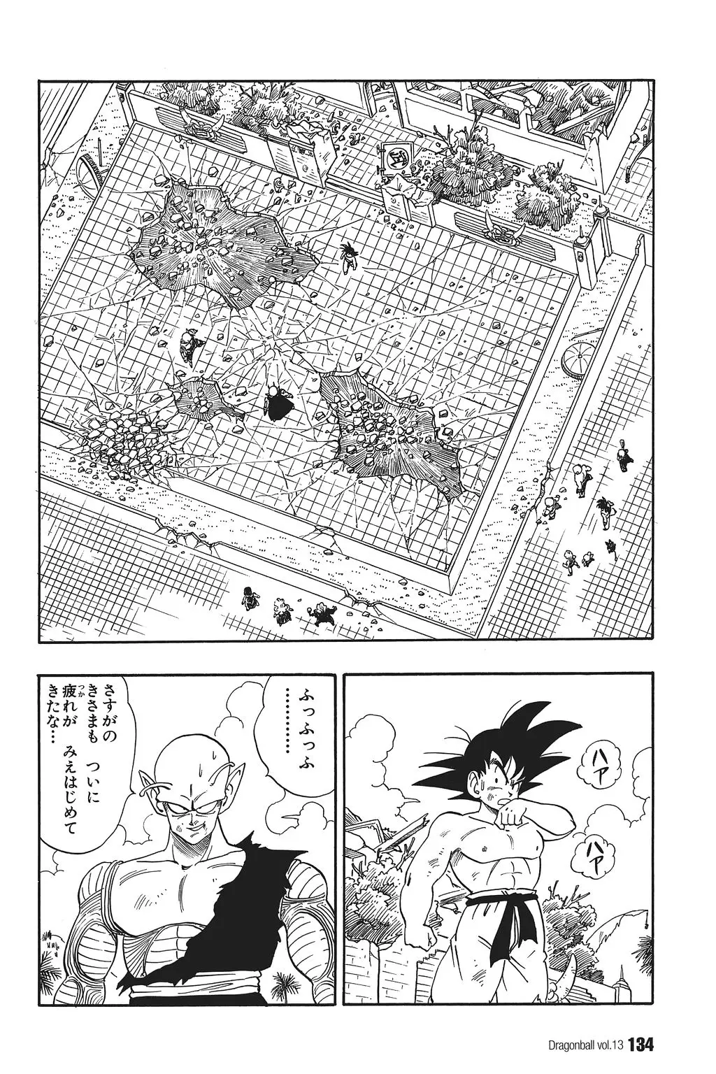 Chapitre 13 — Dragon Ball Kanzenban Vol. 13 — page 139