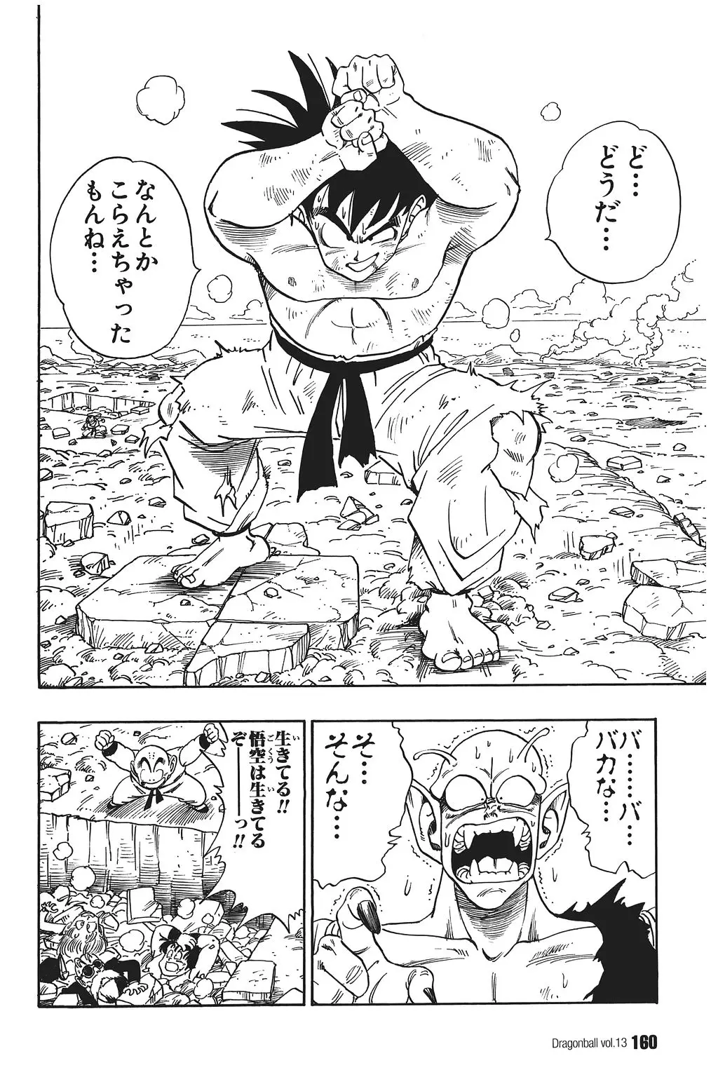 Chapitre 13 — Dragon Ball Kanzenban Vol. 13 — page 165