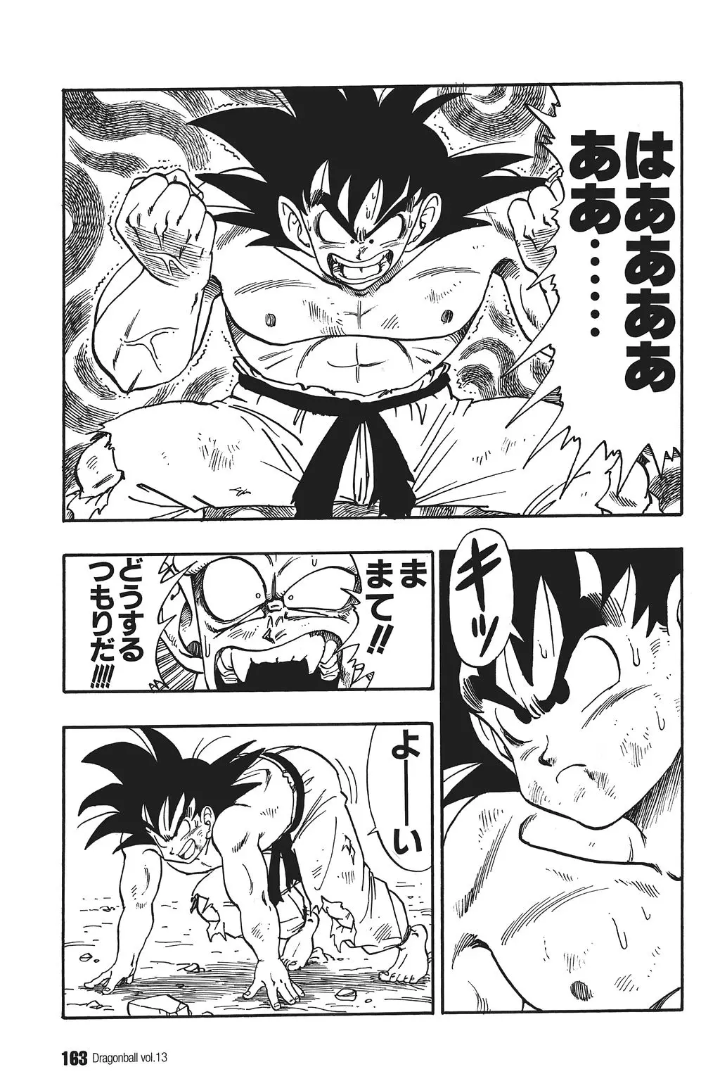 Chapitre 13 — Dragon Ball Kanzenban Vol. 13 — page 168