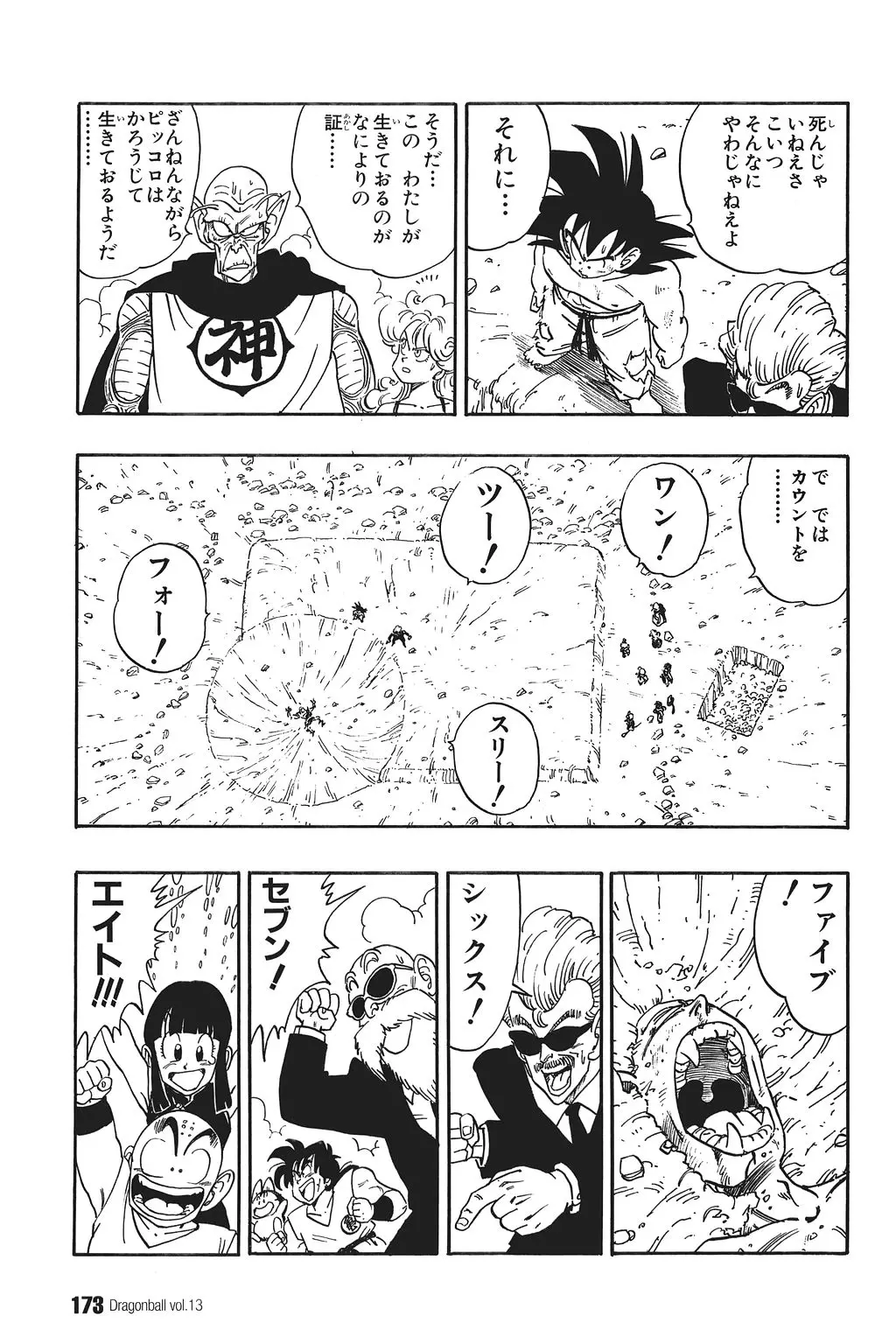 Chapitre 13 — Dragon Ball Kanzenban Vol. 13 — page 178