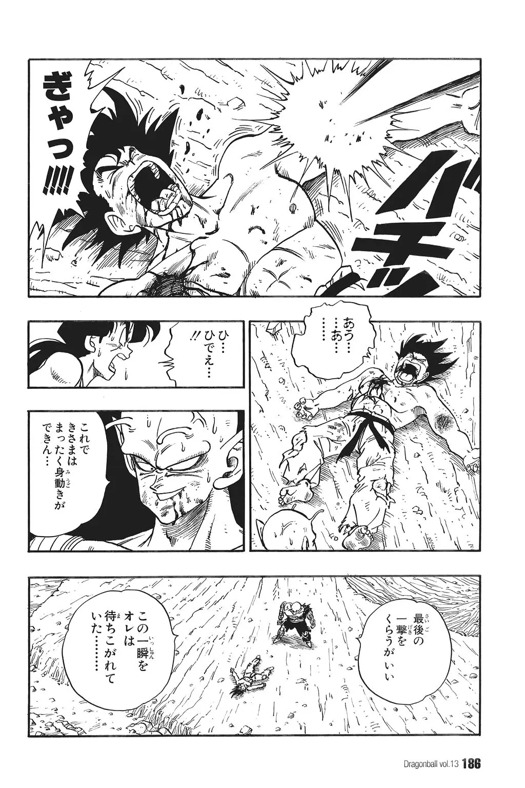 Chapitre 13 — Dragon Ball Kanzenban Vol. 13 — page 191
