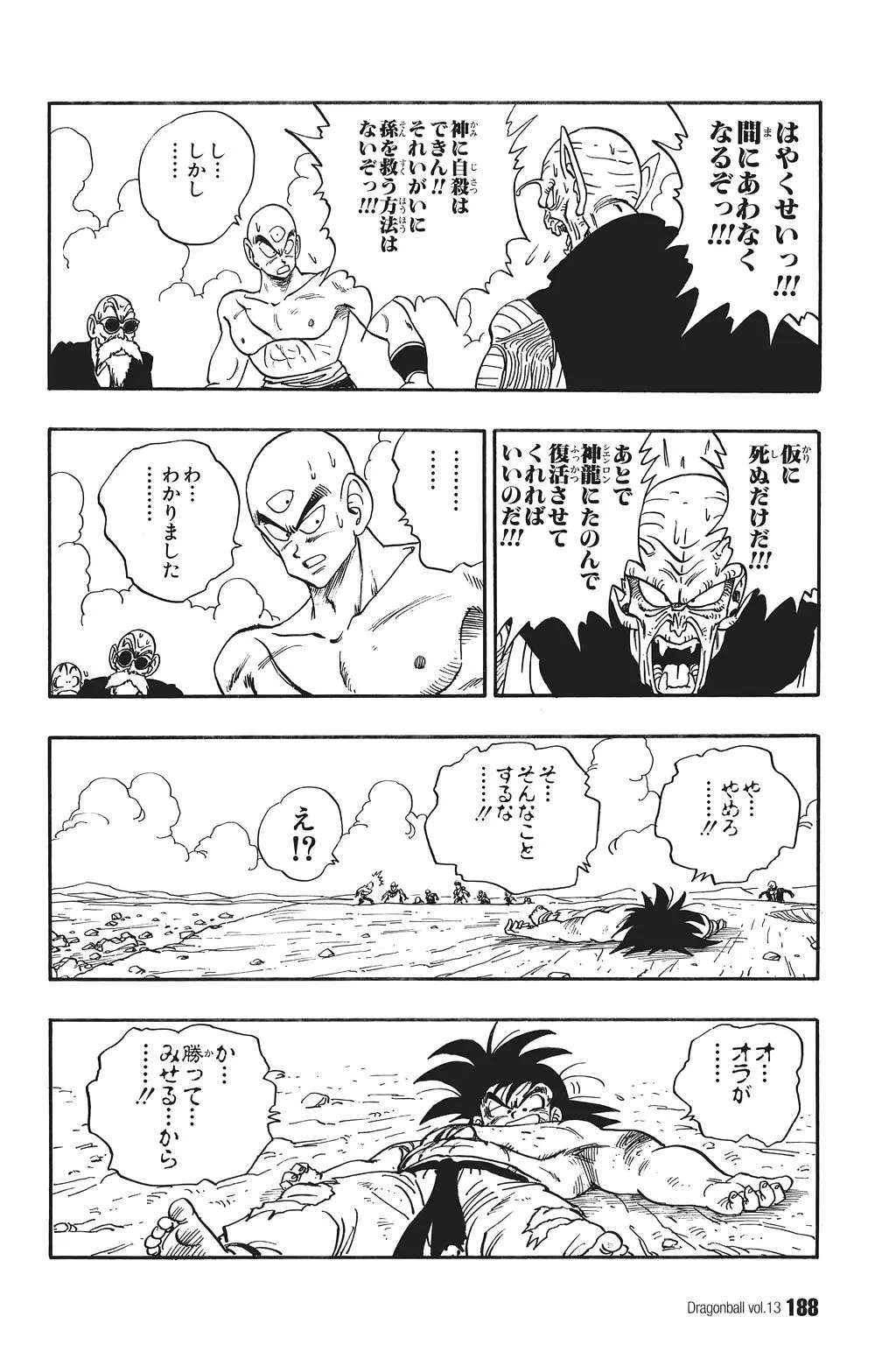 Chapitre 13 — Dragon Ball Kanzenban Vol. 13 — page 193