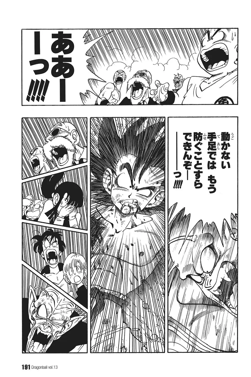 Chapitre 13 — Dragon Ball Kanzenban Vol. 13 — page 196