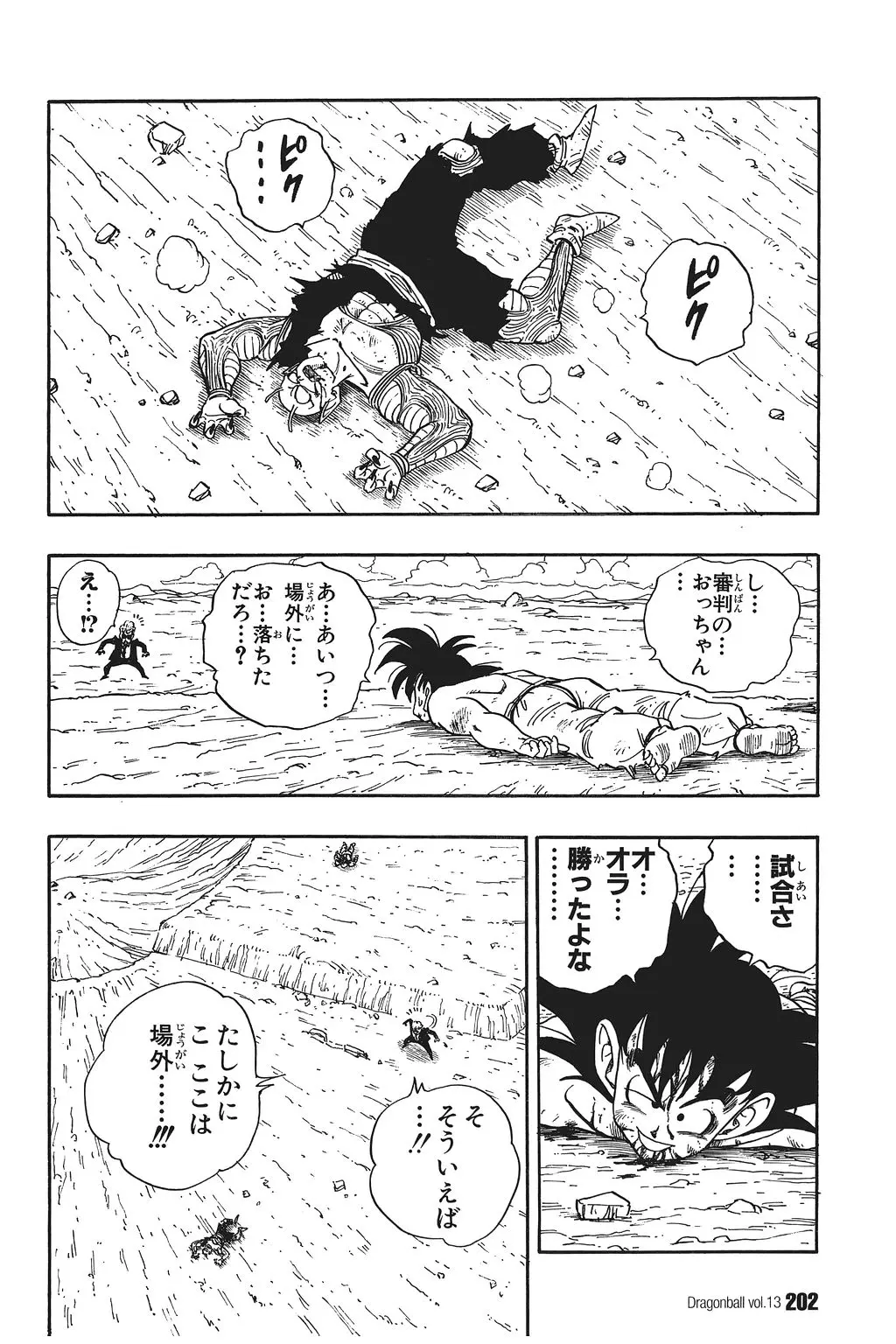 Chapitre 13 — Dragon Ball Kanzenban Vol. 13 — page 207