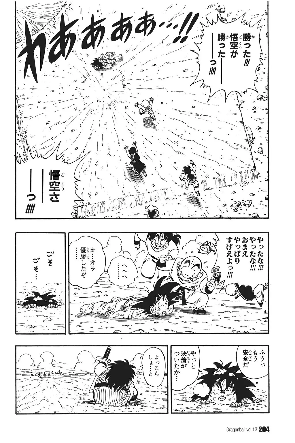 Chapitre 13 — Dragon Ball Kanzenban Vol. 13 — page 209