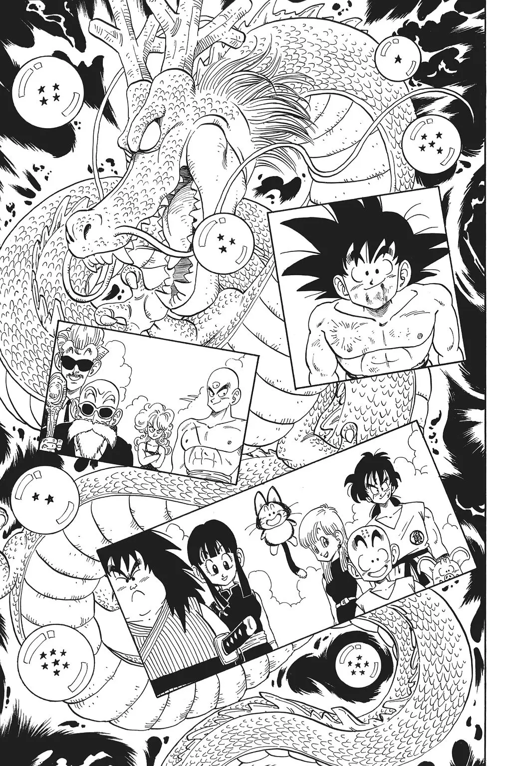 Chapitre 13 — Dragon Ball Kanzenban Vol. 13 — page 216