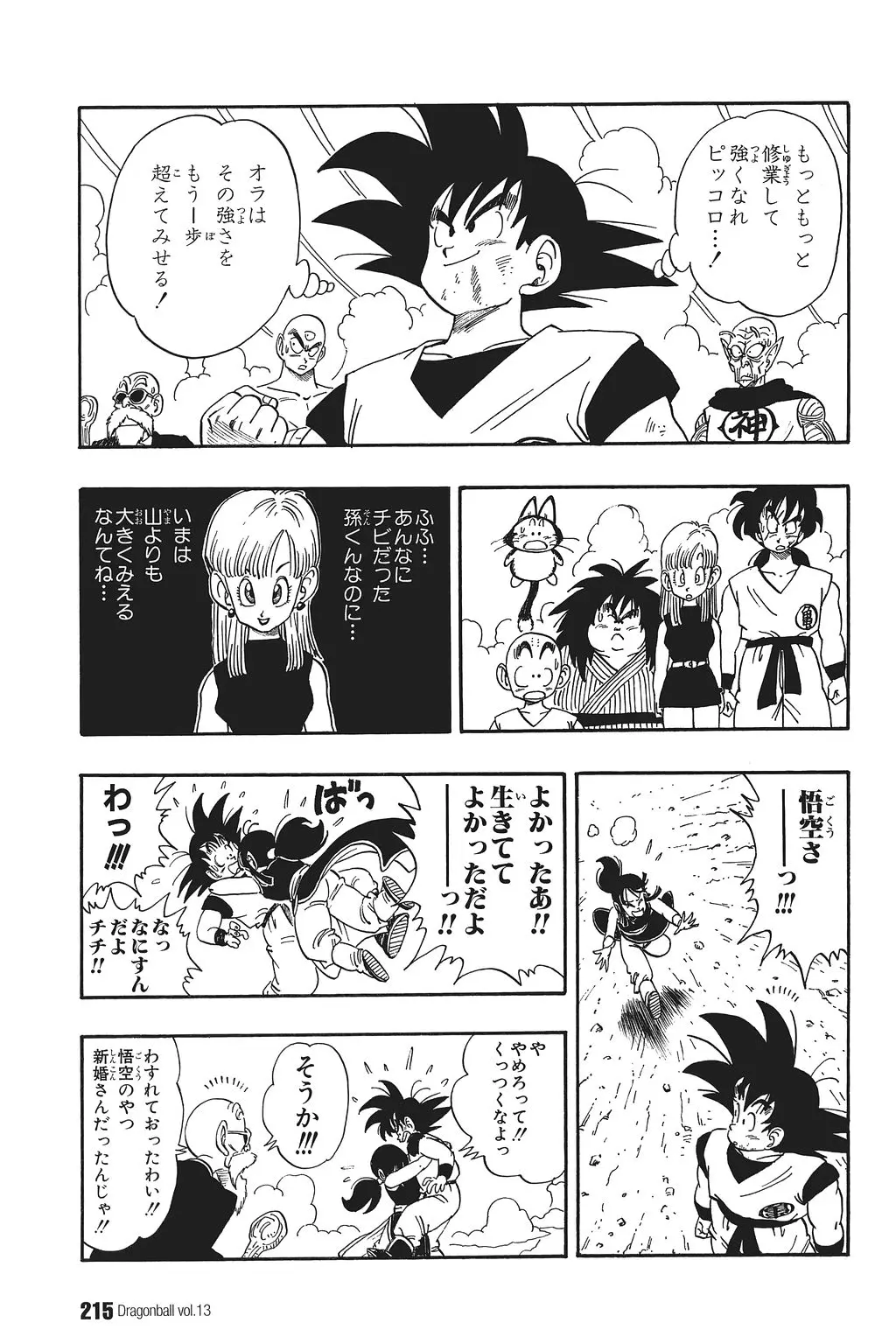 Chapitre 13 — Dragon Ball Kanzenban Vol. 13 — page 220