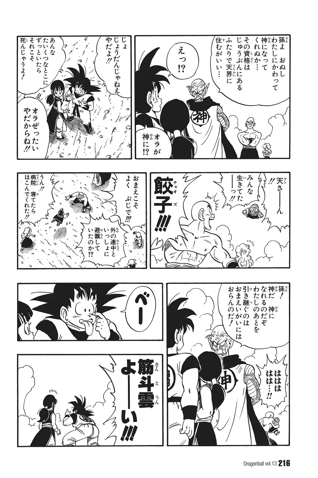 Chapitre 13 — Dragon Ball Kanzenban Vol. 13 — page 221