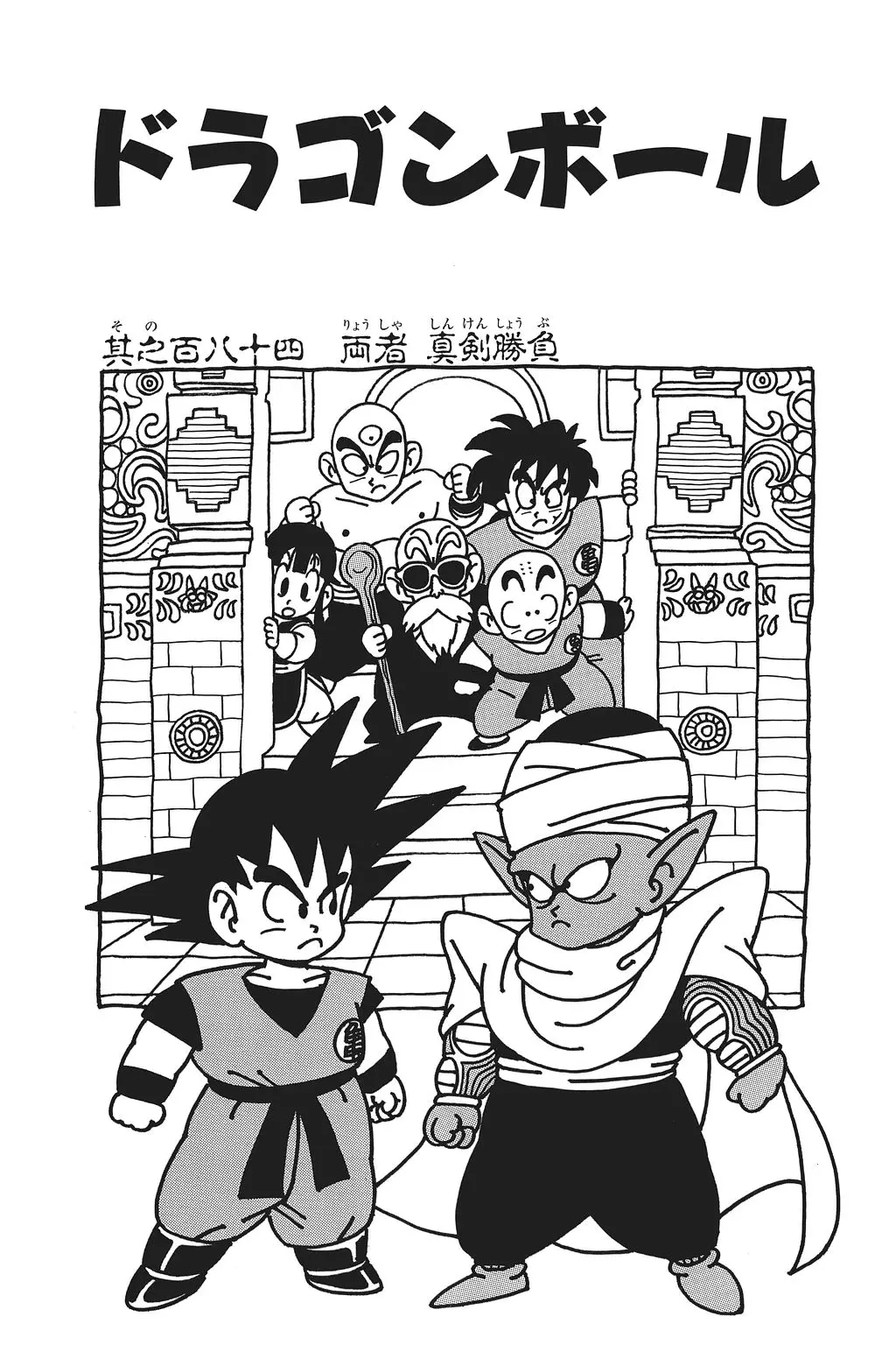 Chapitre 13 — Dragon Ball Kanzenban Vol. 13 — page 228