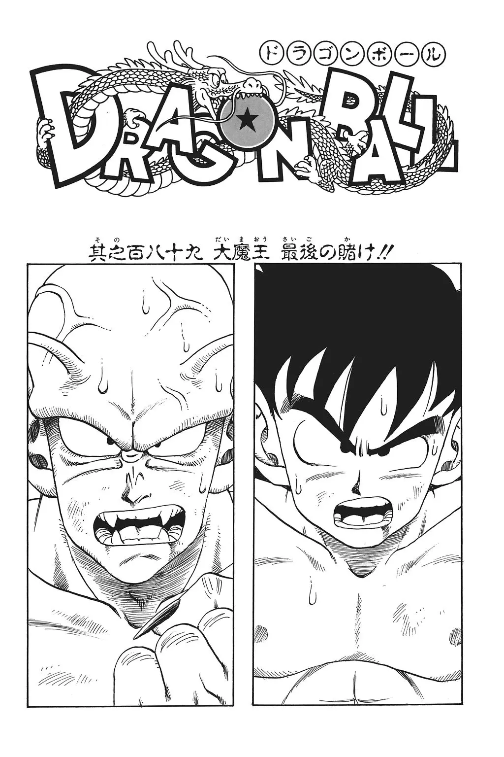 Chapitre 13 — Dragon Ball Kanzenban Vol. 13 — page 231