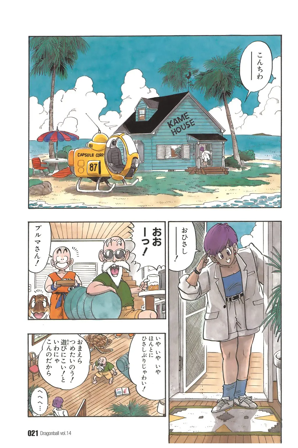 Chapitre 14 — Dragon Ball Kanzenban Vol. 14 — page 26