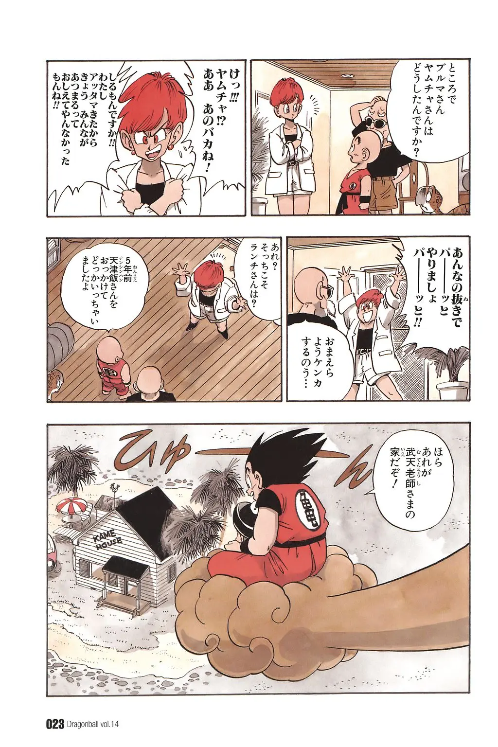 Chapitre 14 — Dragon Ball Kanzenban Vol. 14 — page 28