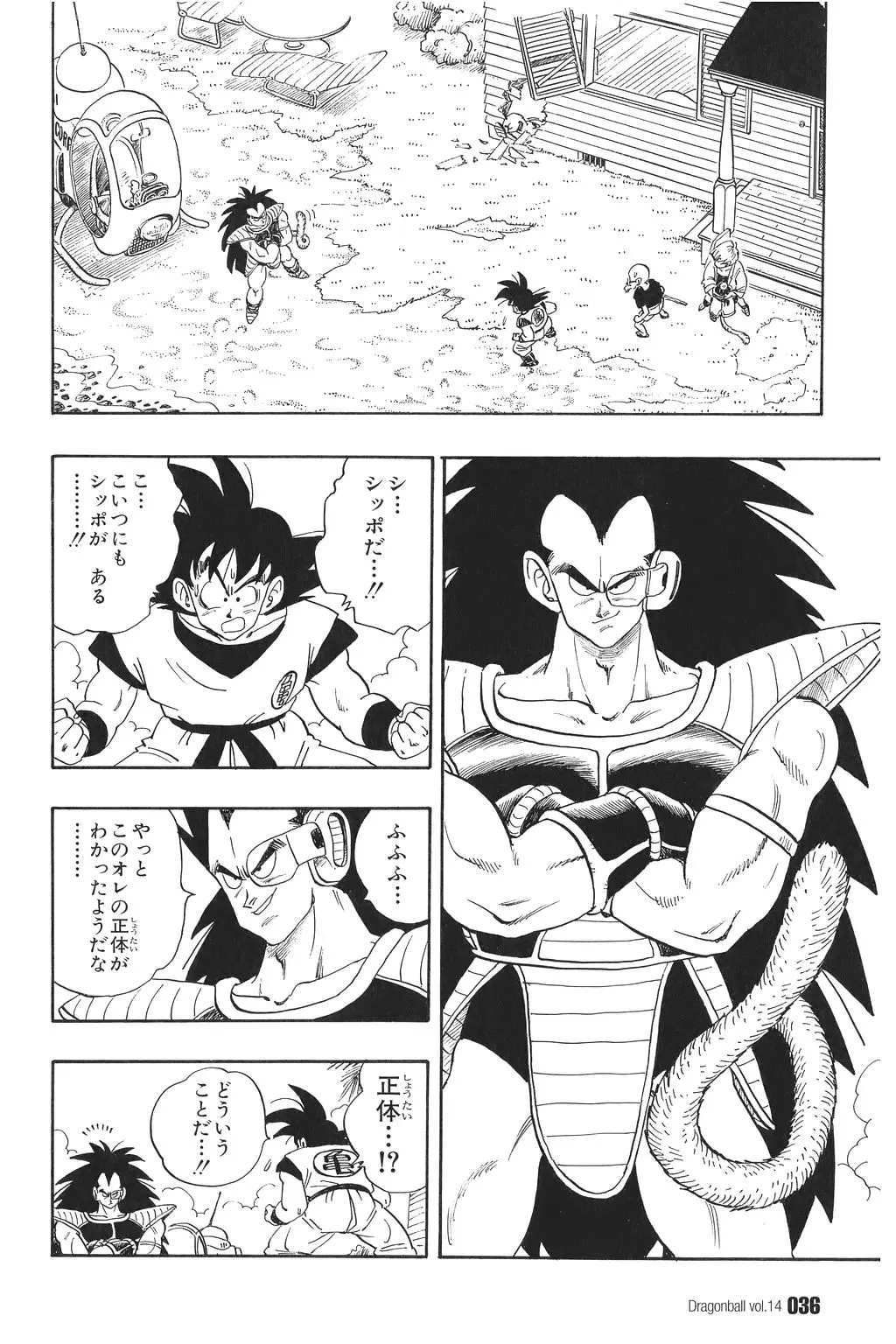 Chapitre 14 — Dragon Ball Kanzenban Vol. 14 — page 41
