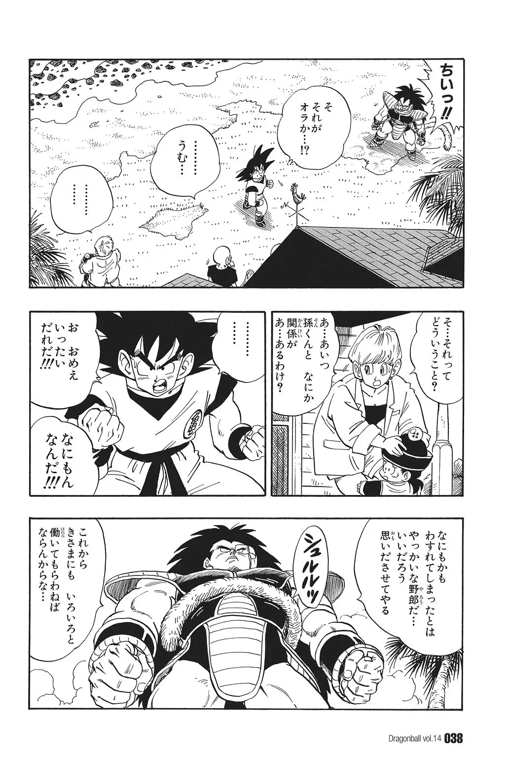 Chapitre 14 — Dragon Ball Kanzenban Vol. 14 — page 43