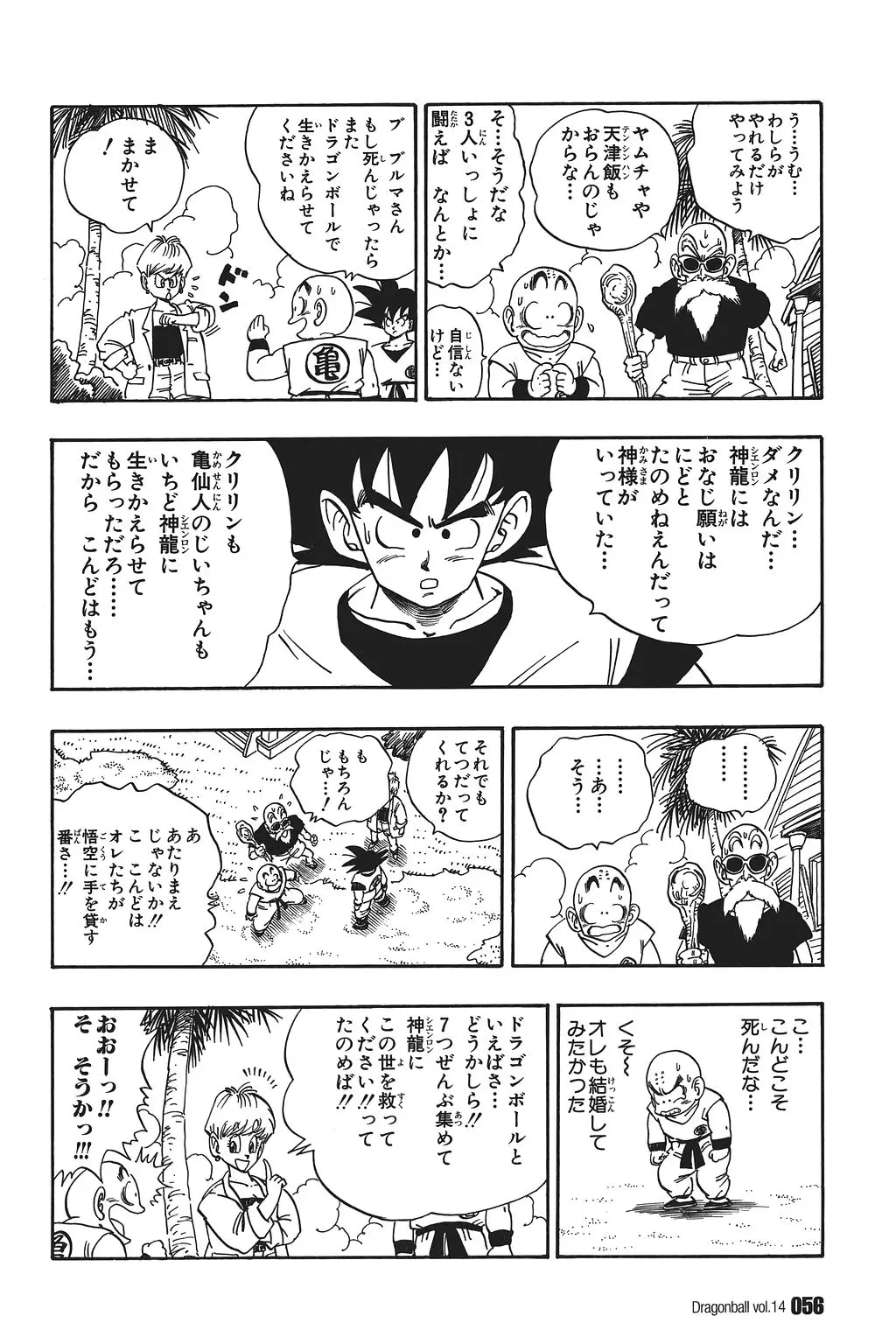 Chapitre 14 — Dragon Ball Kanzenban Vol. 14 — page 61