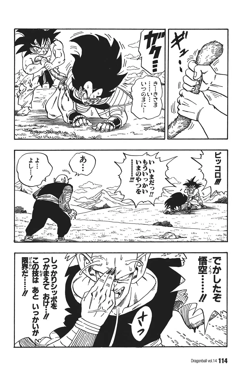 Chapitre 14 — Dragon Ball Kanzenban Vol. 14 — page 119