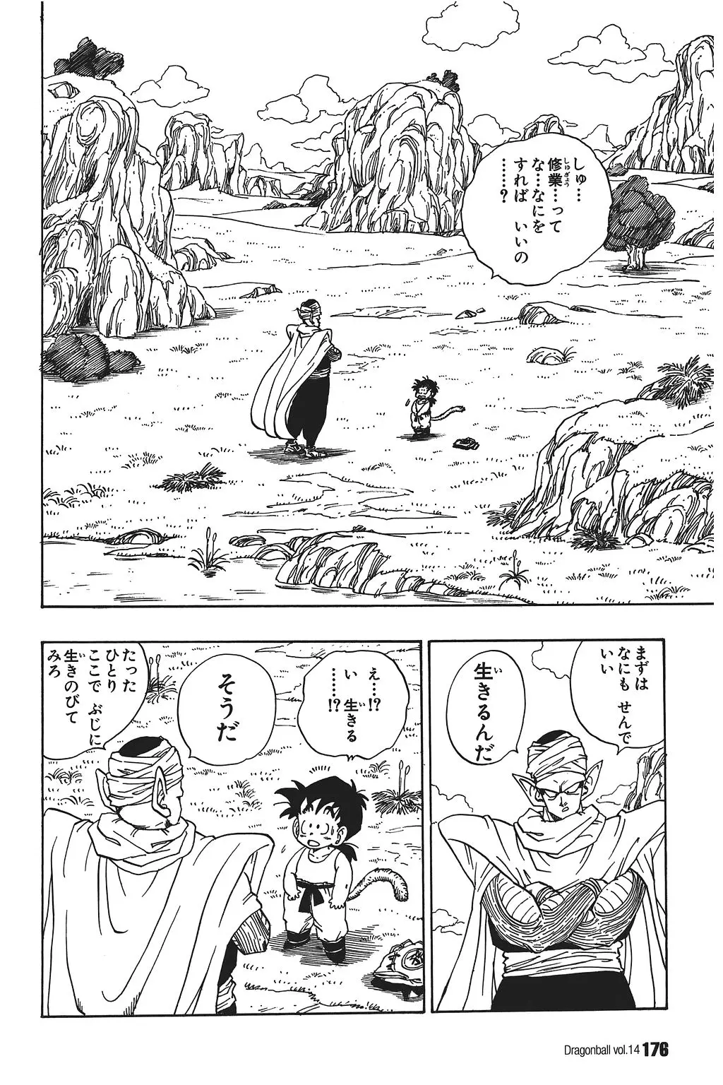 Chapitre 14 — Dragon Ball Kanzenban Vol. 14 — page 181