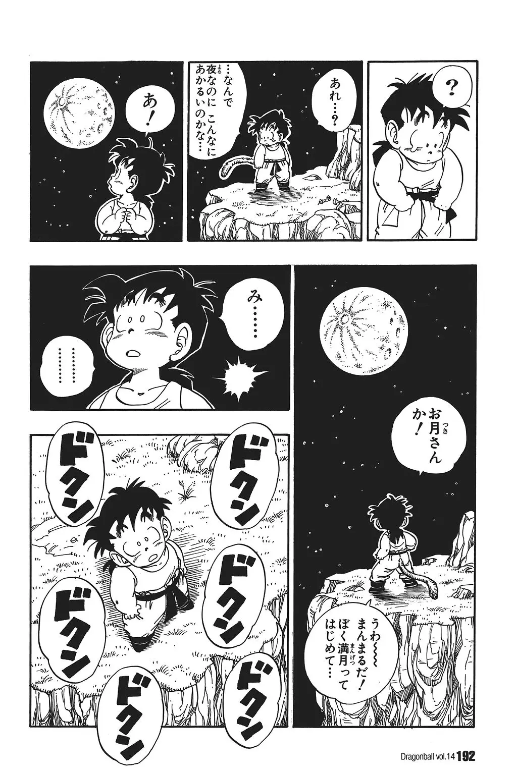 Chapitre 14 — Dragon Ball Kanzenban Vol. 14 — page 197