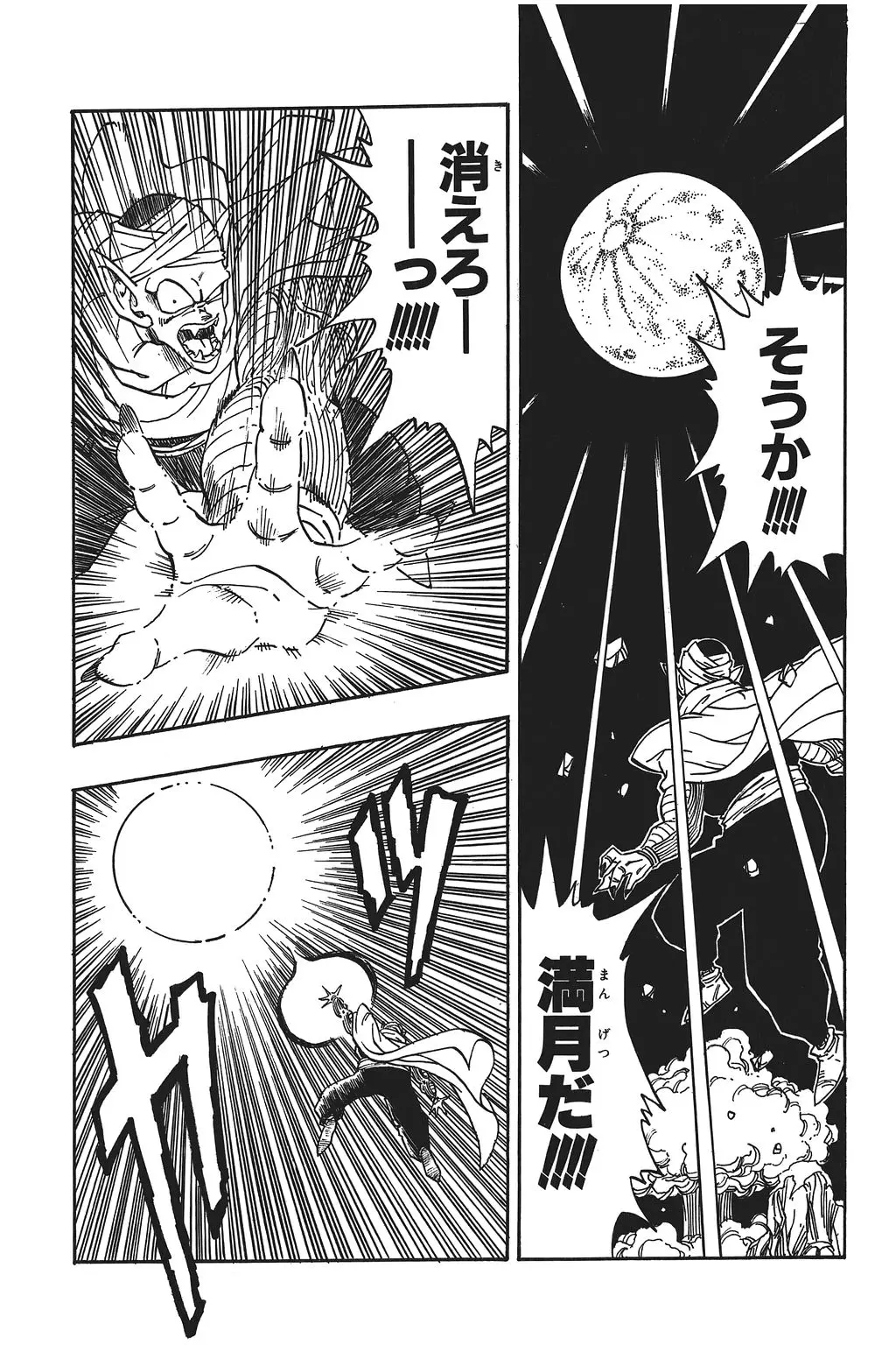 Chapitre 14 — Dragon Ball Kanzenban Vol. 14 — page 204