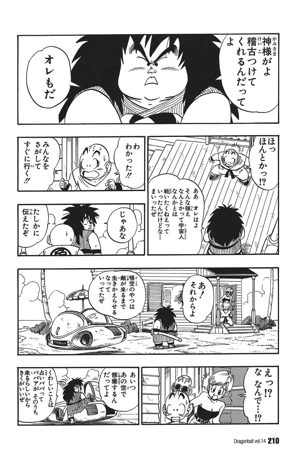 Chapitre 14 — Dragon Ball Kanzenban Vol. 14 — page 215