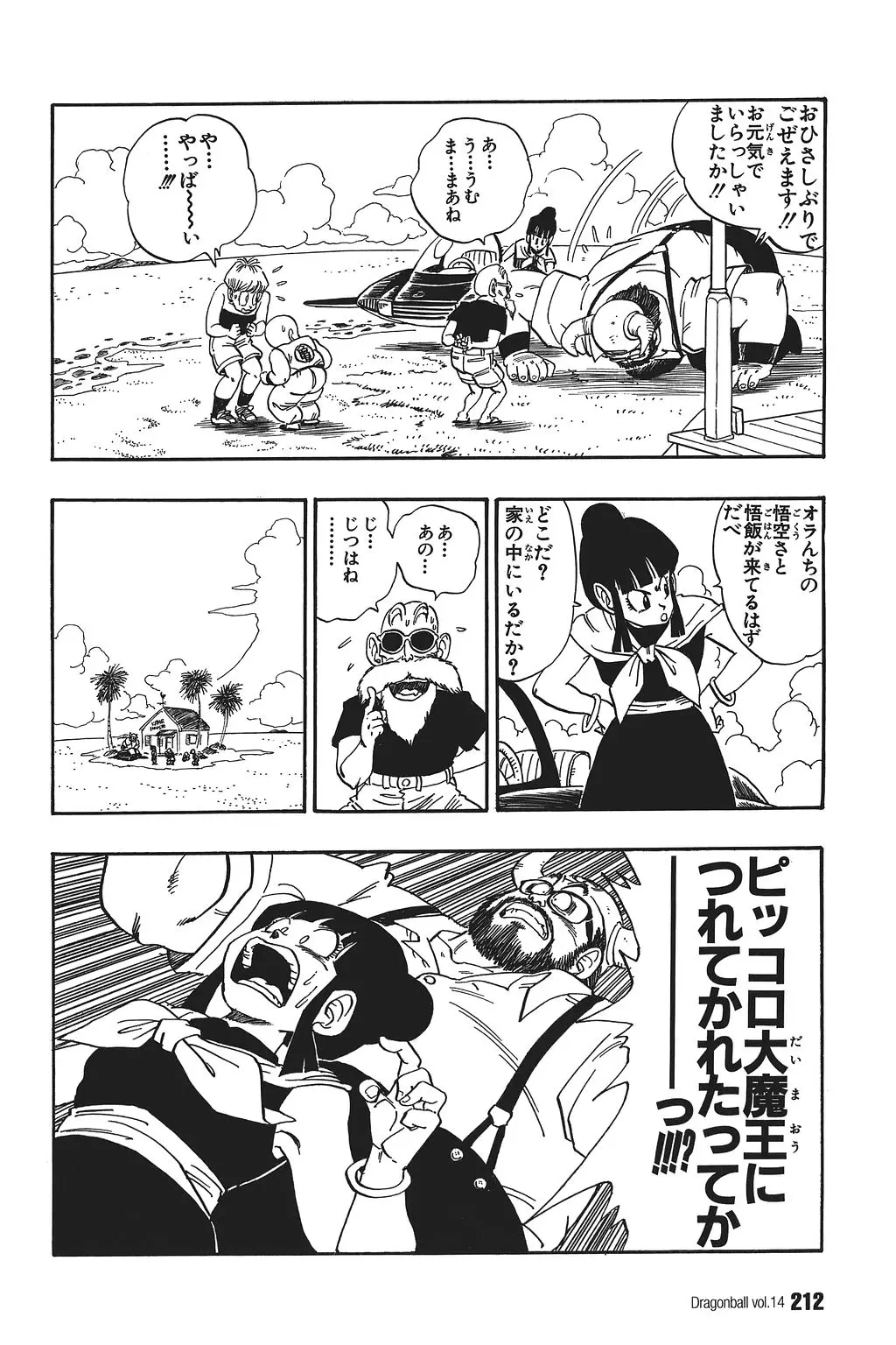 Chapitre 14 — Dragon Ball Kanzenban Vol. 14 — page 217