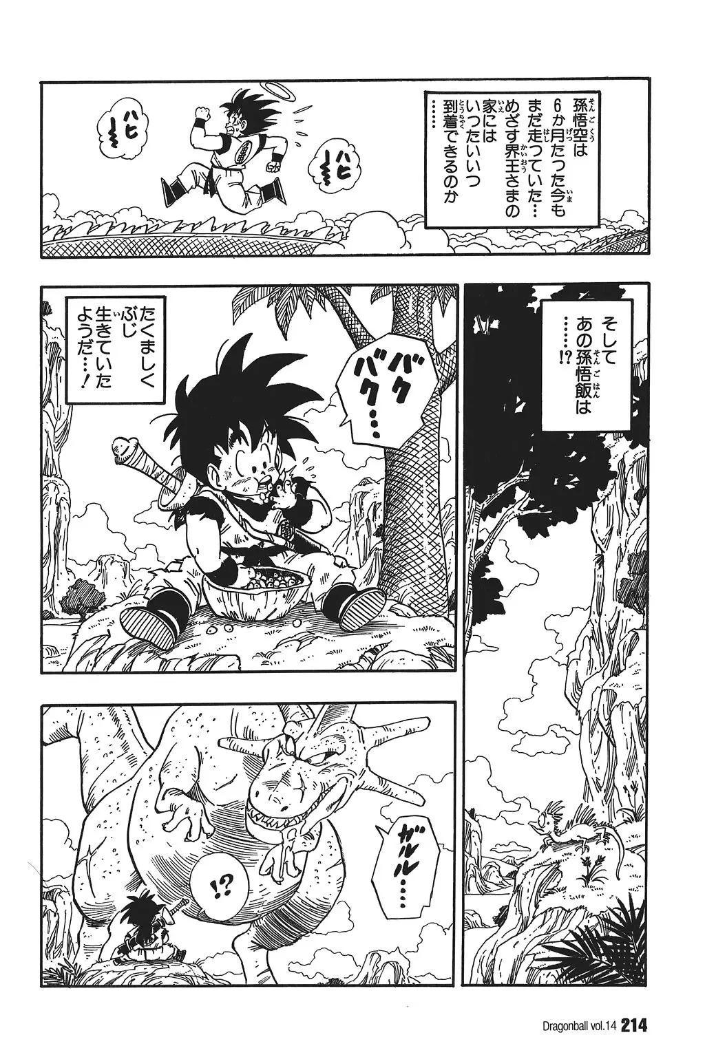 Chapitre 14 — Dragon Ball Kanzenban Vol. 14 — page 219