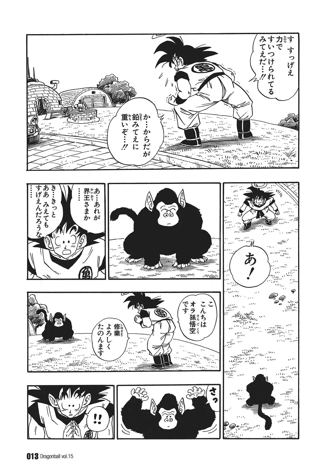 Chapitre 15 — Dragon Ball Kanzenban Vol. 15 — page 18