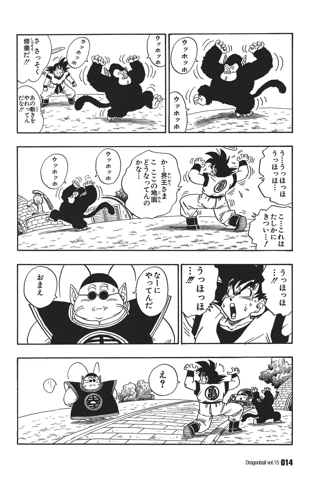 Chapitre 15 — Dragon Ball Kanzenban Vol. 15 — page 19