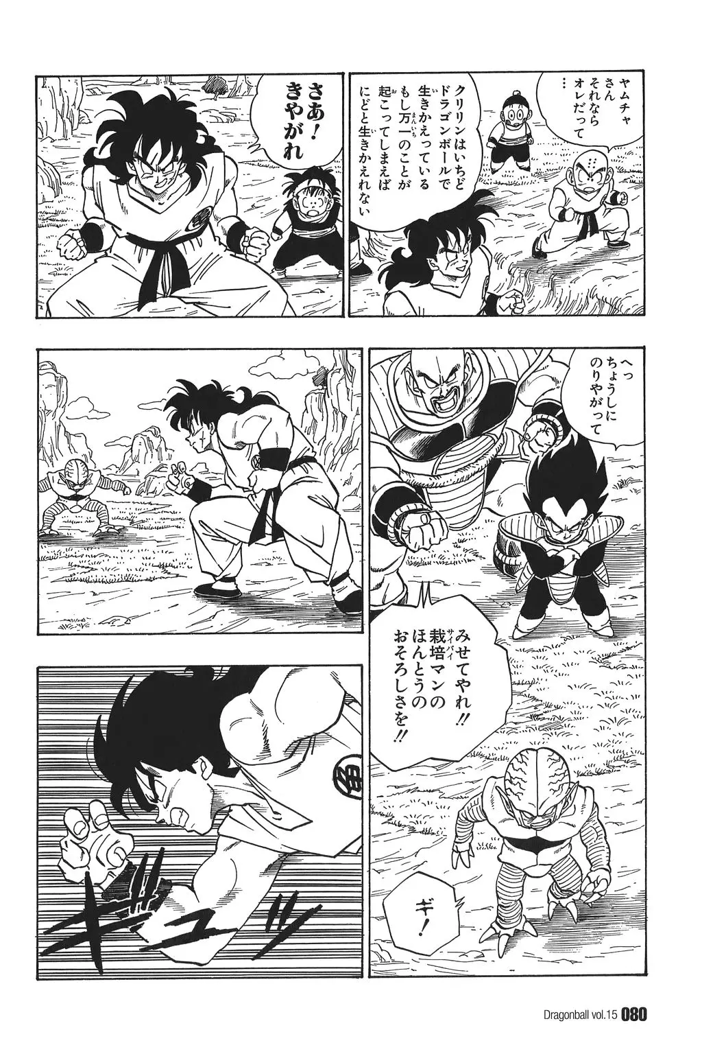 Chapitre 15 — Dragon Ball Kanzenban Vol. 15 — page 85