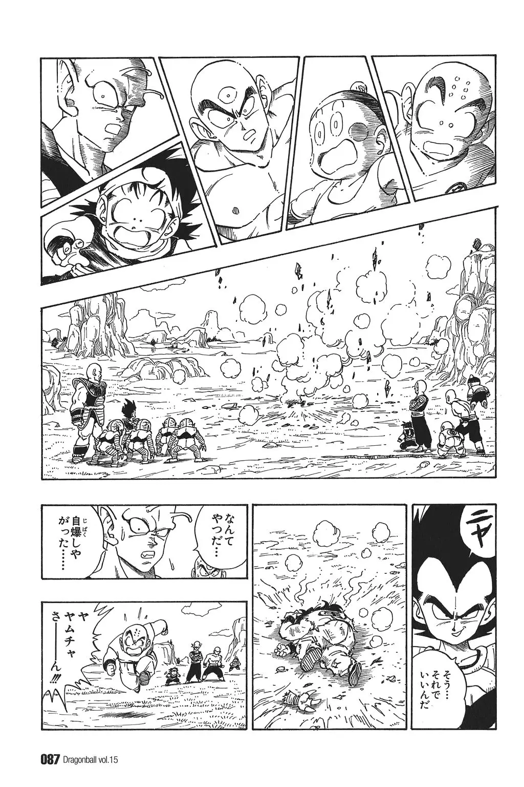 Chapitre 15 — Dragon Ball Kanzenban Vol. 15 — page 92
