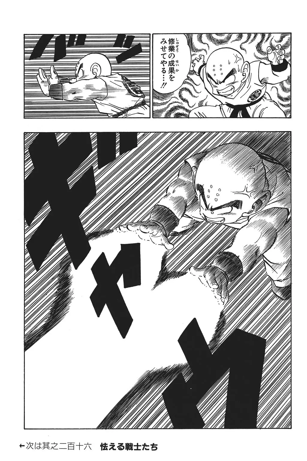 Chapitre 15 — Dragon Ball Kanzenban Vol. 15 — page 94