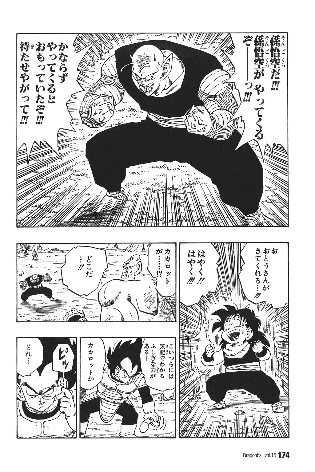 Chapitre 15 — Dragon Ball Kanzenban Vol. 15 — page 179