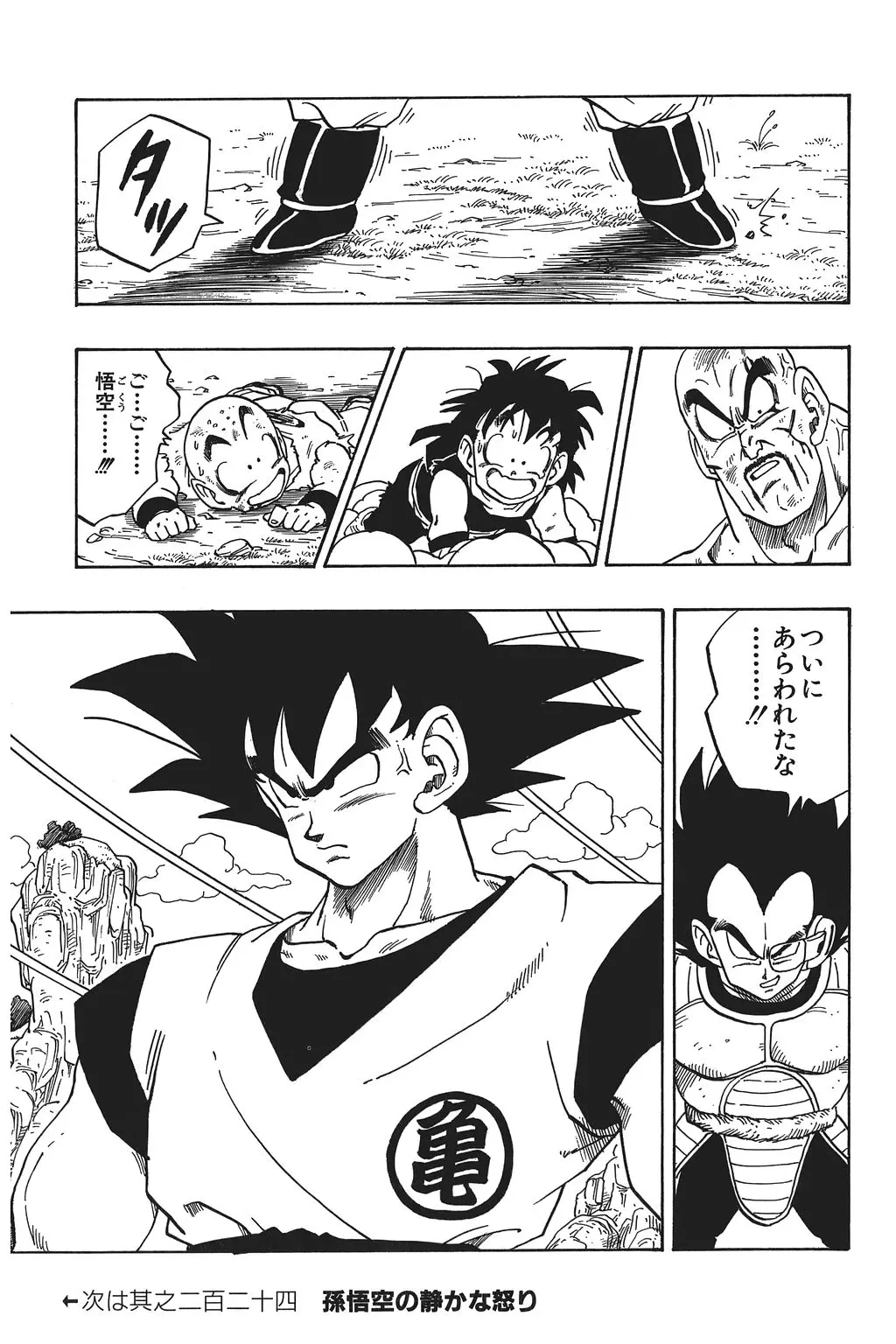 Chapitre 15 — Dragon Ball Kanzenban Vol. 15 — page 206