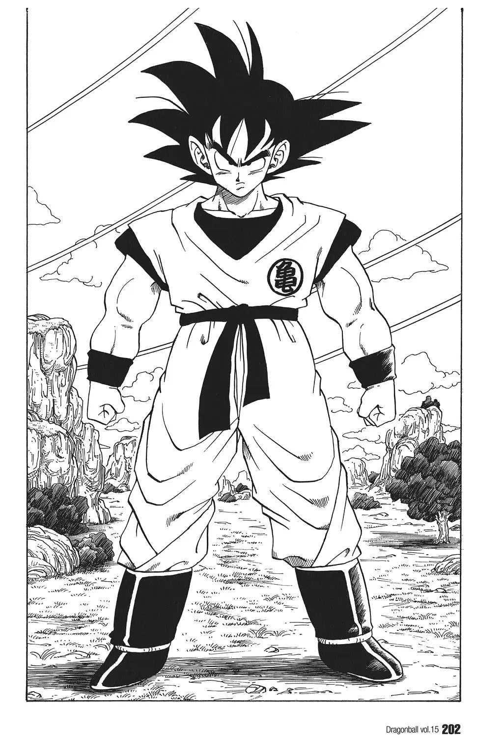 Chapitre 15 — Dragon Ball Kanzenban Vol. 15 — page 207
