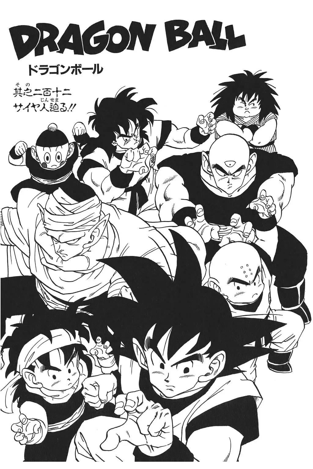 Chapitre 15 — Dragon Ball Kanzenban Vol. 15 — page 224