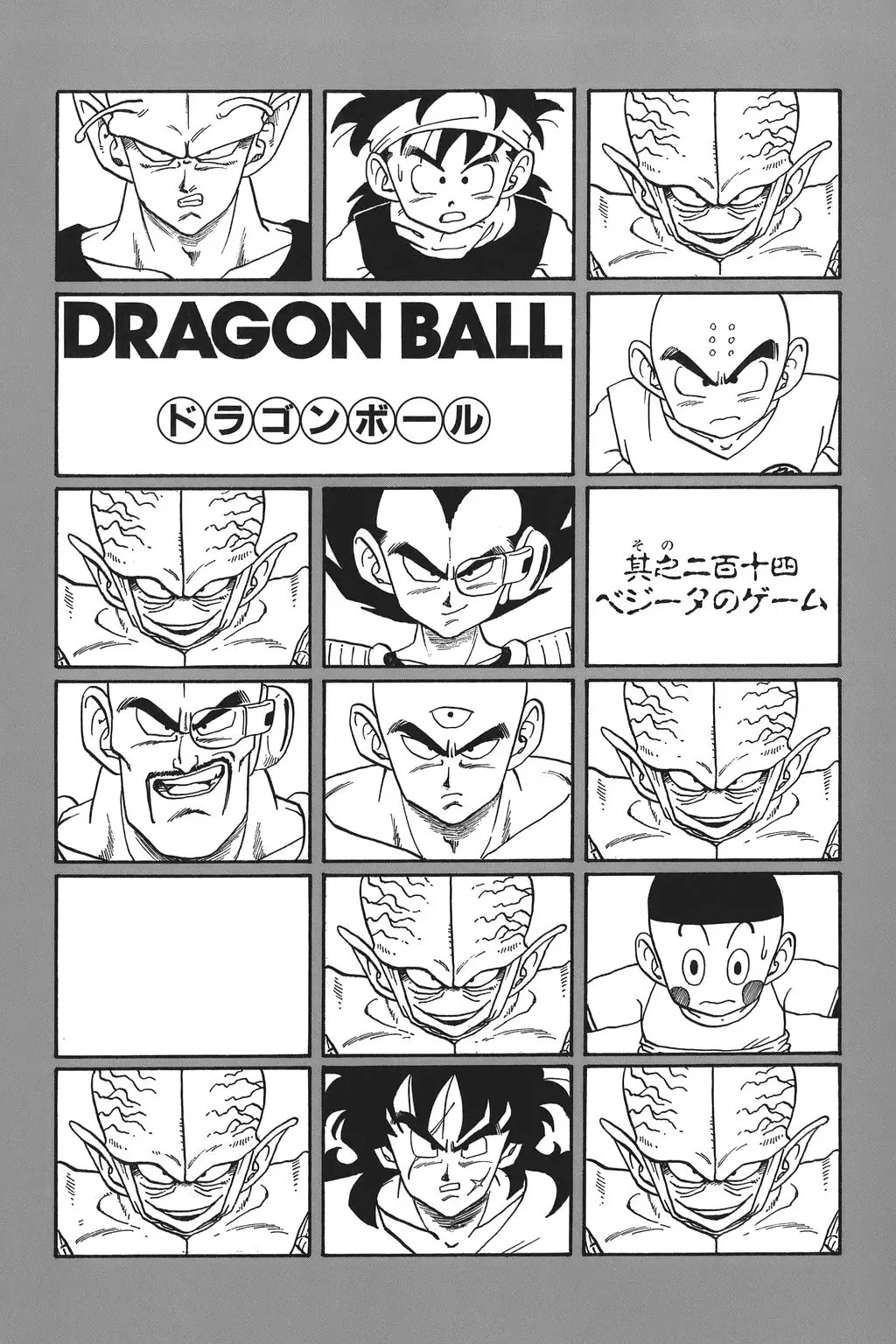 Chapitre 15 — Dragon Ball Kanzenban Vol. 15 — page 226