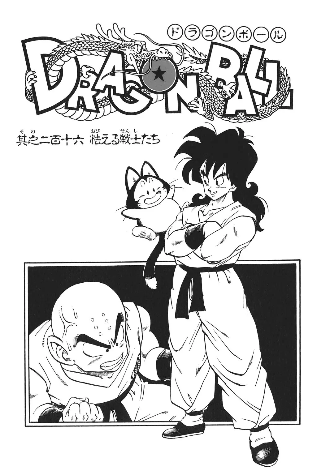 Chapitre 15 — Dragon Ball Kanzenban Vol. 15 — page 228
