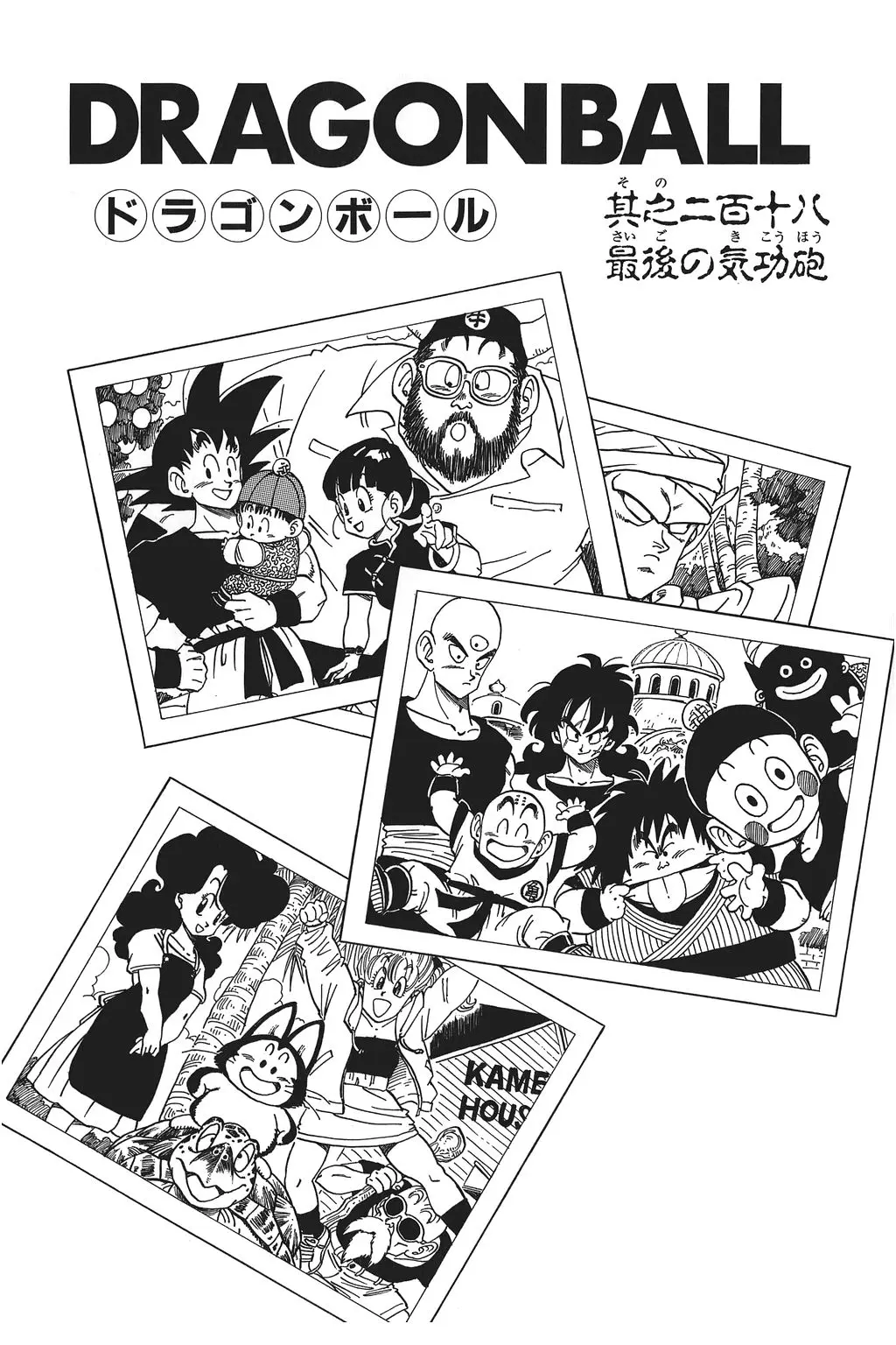 Chapitre 15 — Dragon Ball Kanzenban Vol. 15 — page 230
