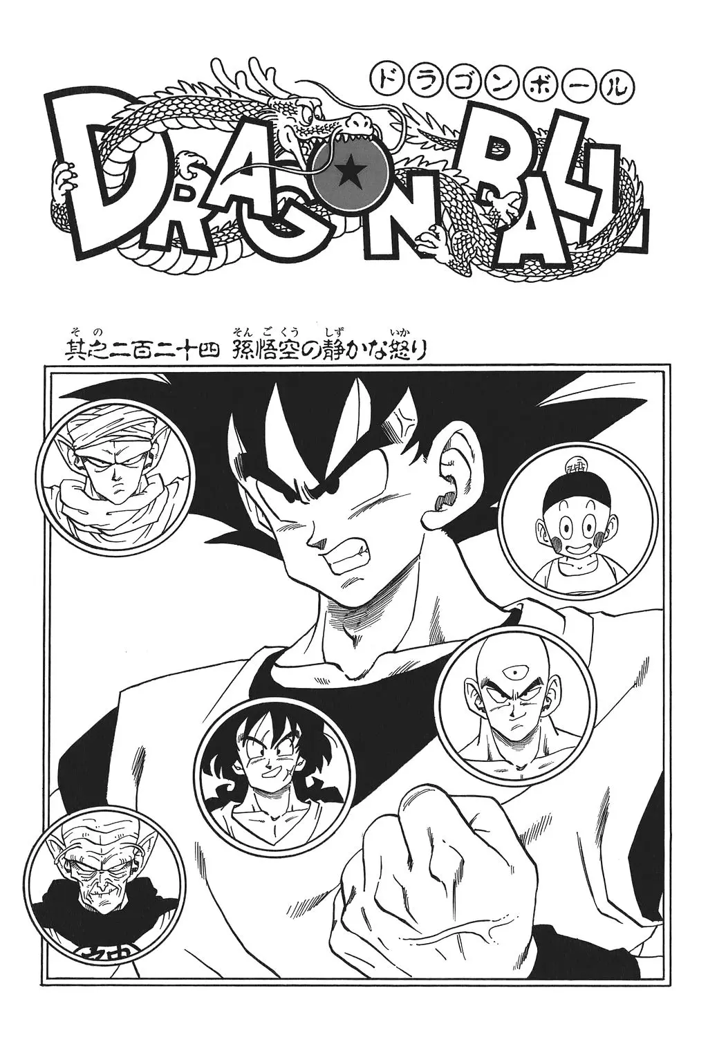 Chapitre 15 — Dragon Ball Kanzenban Vol. 15 — page 236
