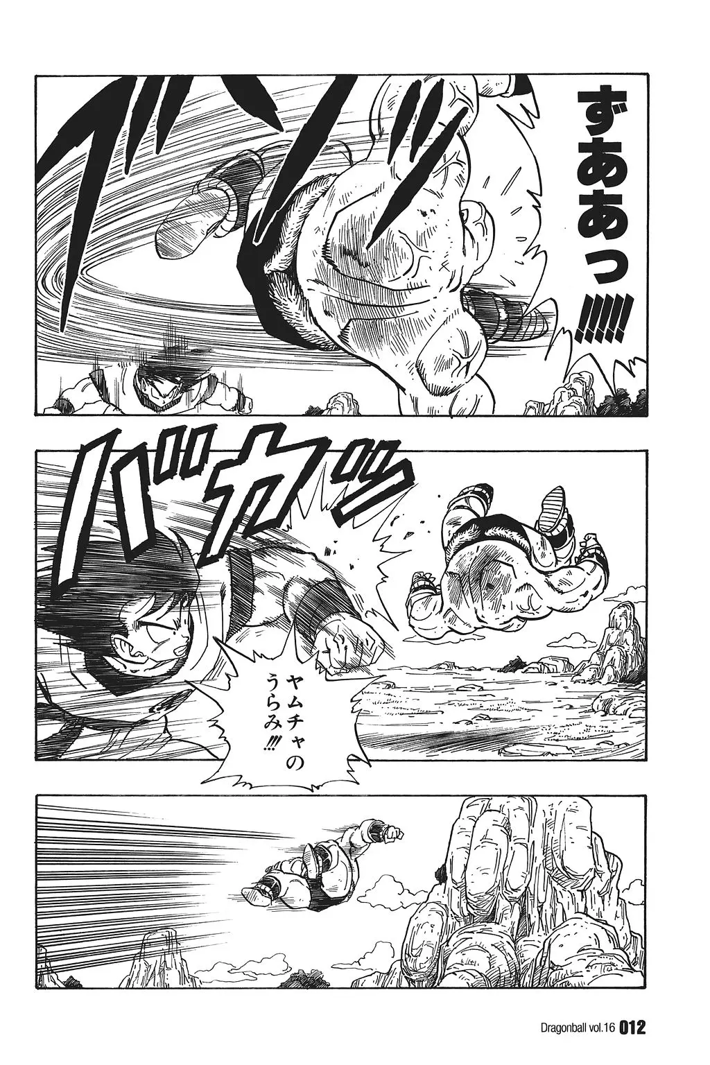 Chapitre 16 — Dragon Ball Kanzenban Vol. 16 — page 17