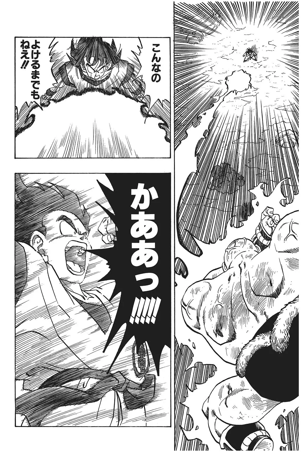 Chapitre 16 — Dragon Ball Kanzenban Vol. 16 — page 19
