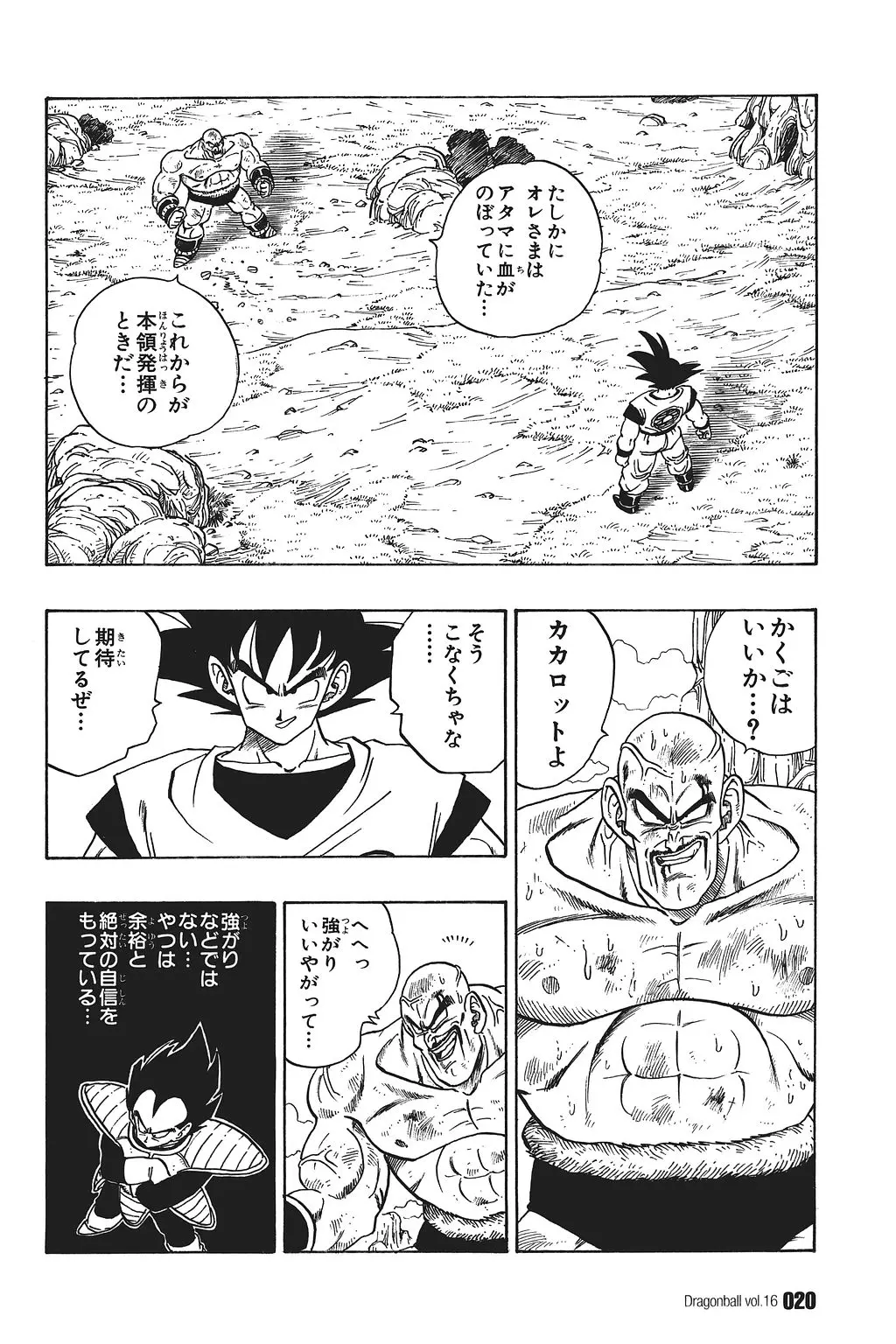 Chapitre 16 — Dragon Ball Kanzenban Vol. 16 — page 25