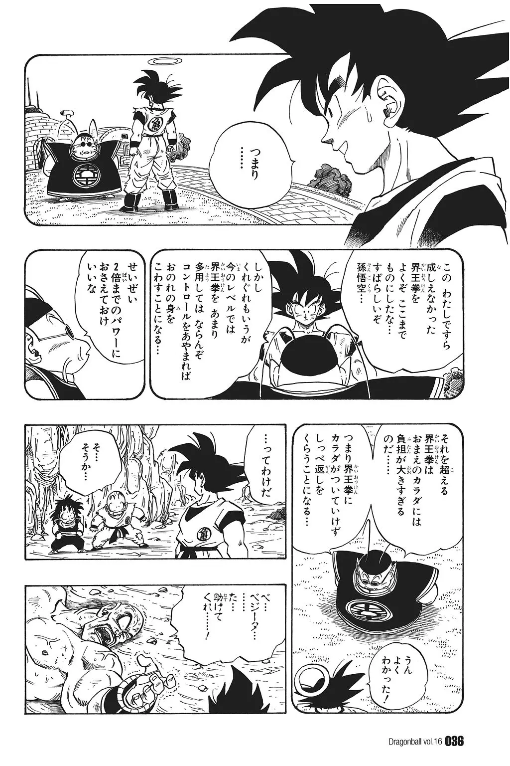 Chapitre 16 — Dragon Ball Kanzenban Vol. 16 — page 41