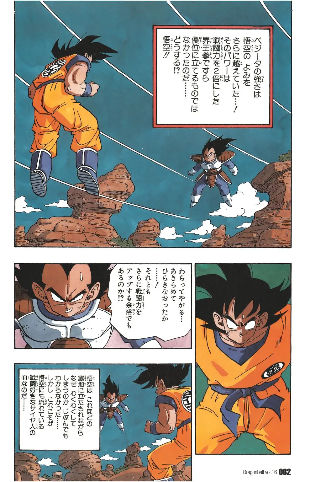 Chapitre 16 — Dragon Ball Kanzenban Vol. 16 — page 67